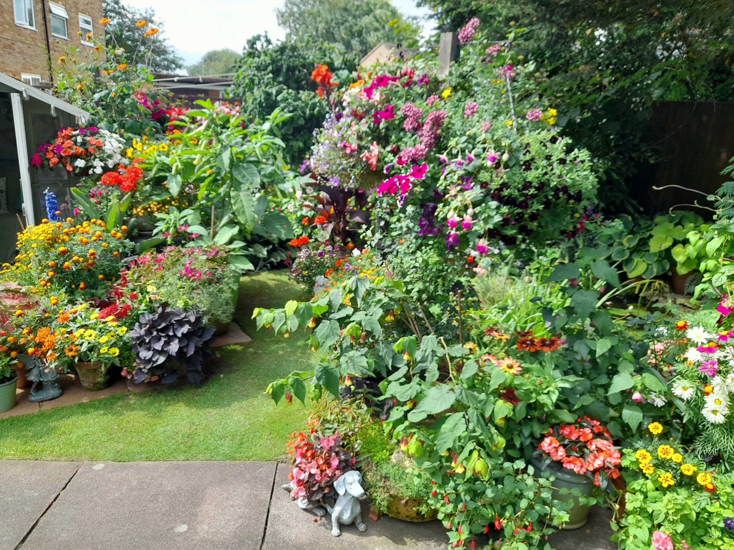 Last year's winning entry for Best Garden
