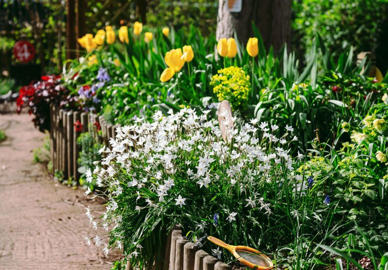 Gardening tips: Easy ideas for Gardens, Balconies and Small Spaces