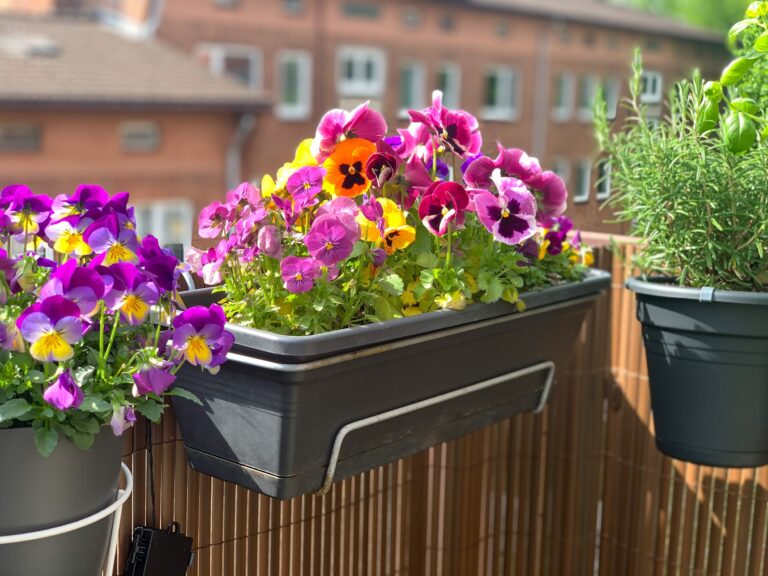 Gardening competition winners celebrated at special event